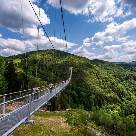 Schwarzwaldhorst 1 Fuer 8 Gaeste In Todtnau, Liftverbund Feldberg Todtnau