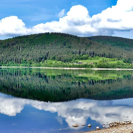 アパート Schwarzwaldhorst 1 Fuer 8 Gaeste In Todtnau, Liftverbund Feldberg