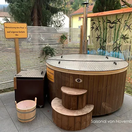 Apartment Schwarzwaldhorst 1 Fuer 8 Gaeste In Todtnau, Liftverbund Feldberg *
