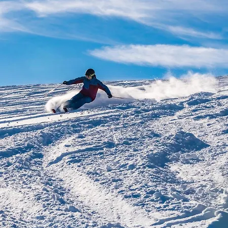 Schwarzwaldhorst 1 Fuer 8 Gaeste In Todtnau, Liftverbund Feldberg トートナウ